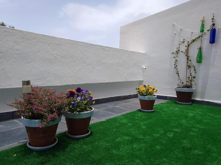 Apartamento Humboldt ,Island Paradise La Orotava Eksteriør bilde